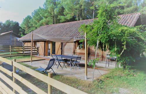 Les Gîtes du Grand Chêne - Foto 9