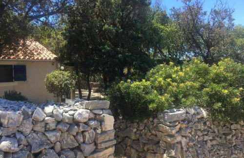 Casula Mediterranea - Foto 22