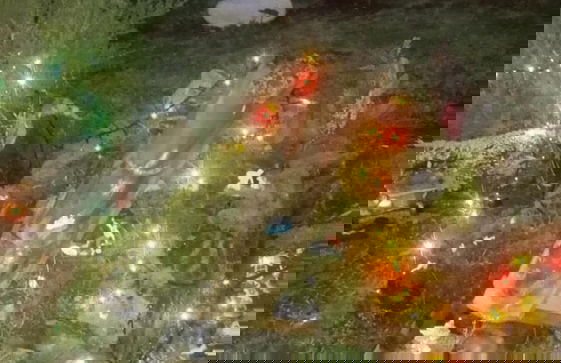 Agriturismo Antica Casa Scardone - Foto 54