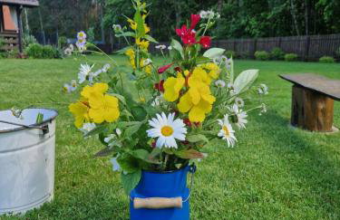 Łap Las Pelnik - Photo 37