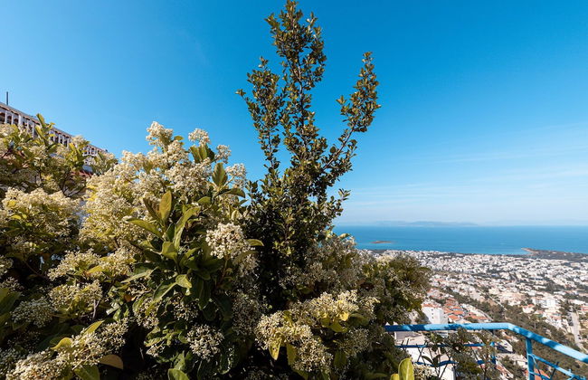 Villa Azure - Foto 74