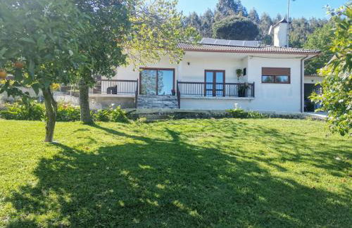 Vermarl - Viana do Castelo - Foto 29