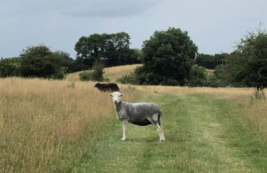 Myrtleberry Studio BnB - Foto 31