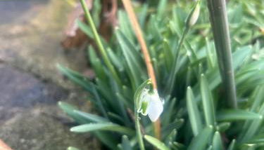 Casa Rural Pirineu Nevà - Foto 3