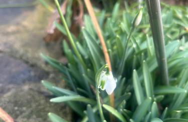 Casa Rural Pirineu Nevà - Foto 3