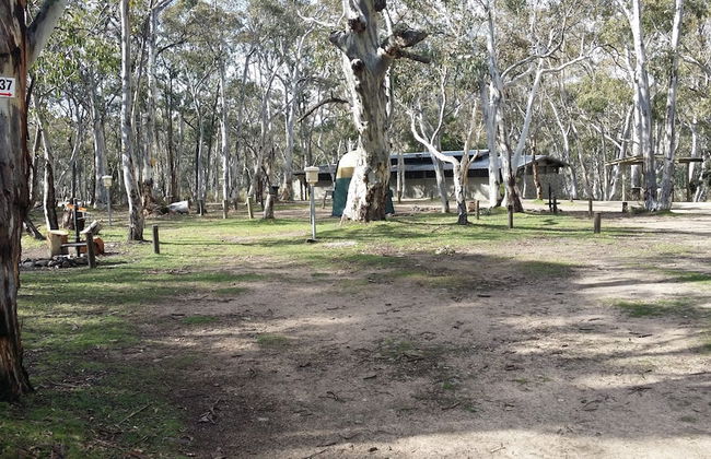 Kosciuszko Tourist Park - Foto 18