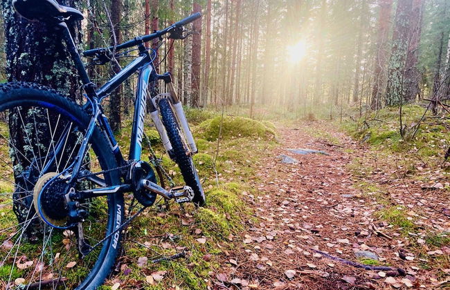 5 bed Country Home Only 2 hrs North of Stockholm - Foto 27