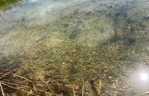 Nasz tatarak - sauna, plaża i kajaki w cenie - Foto 24