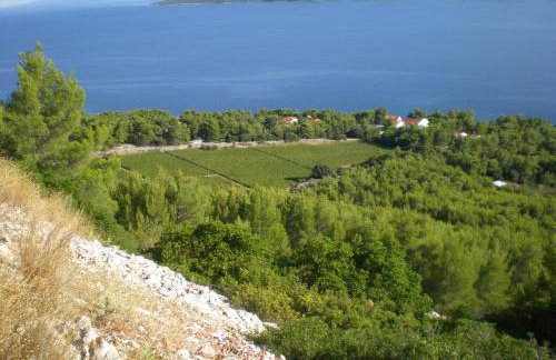 Hvar Melody, Island Hvar, Rosohotnica Bay - Foto 46