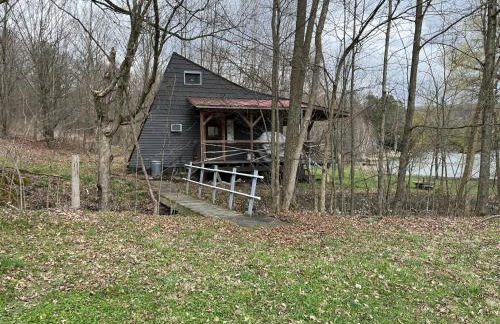Willow Point Cabin Brenchly Lake - Photo 13