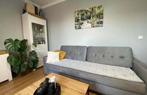 DREW BUD Spółka z o.o. Artur i Monika Oleksiuk - Foto 19