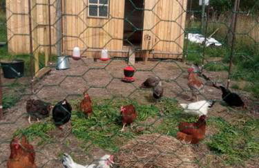 Agroturystyka Jak Makiem Zasiał Dworki 10 - Foto 47