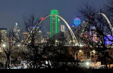 Luxe Dallas Estate Nearly Half Acre Skyline Views - Foto 80