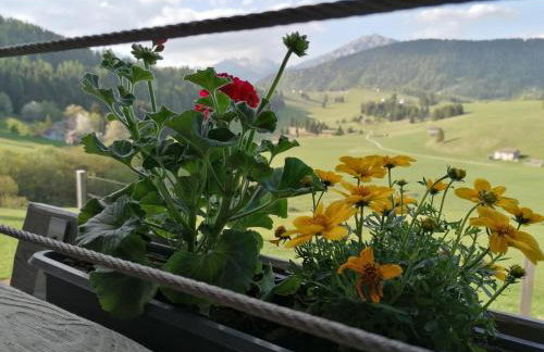 Maso Stella - Foto 13