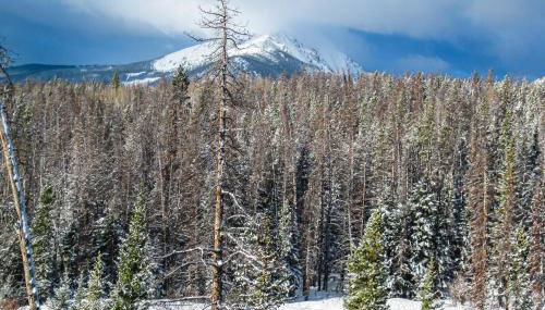 Watch Hill 216 - Foto 4