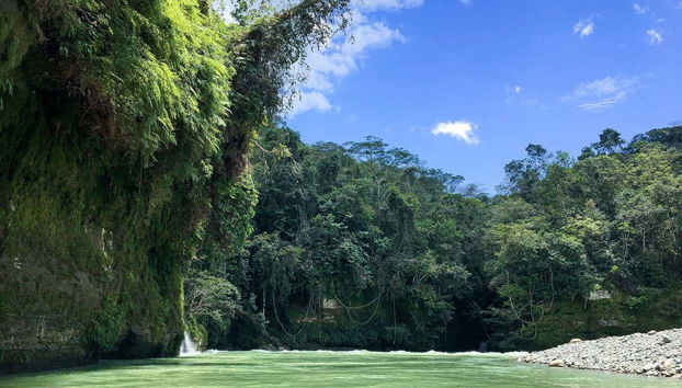 Vegetation around the river Güejar
