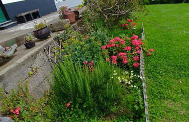 Green Sunrise House - Photo 52