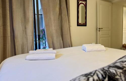 Spacious Luxury apt, 12 min walk to Croisette beach and Conf Centre - Foto 27