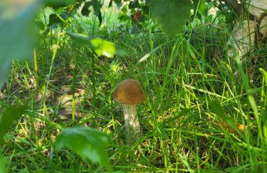 Morska Cisza - Foto 30