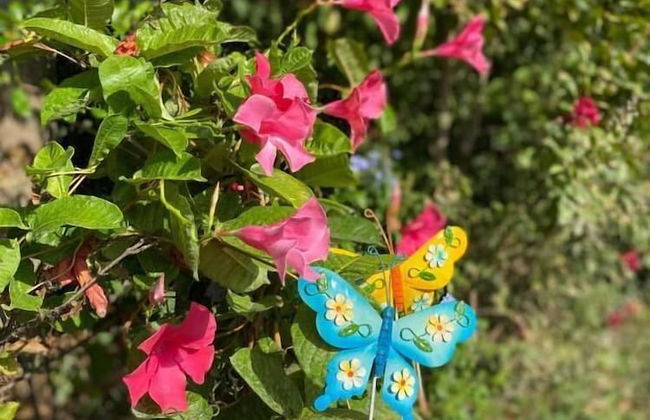 Cà Rocca Relais - Foto 43