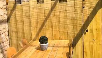 Gîte La Grange de La Trigalle avec spa professionnel privatif - Foto 2