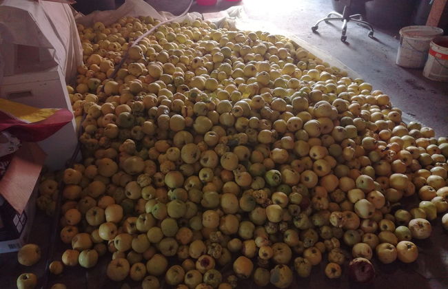 Salas Farma 47 - Photo 37