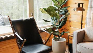 "The Lantern" Woodsy Cabin Experience w/ HotTub - Foto 3, Other