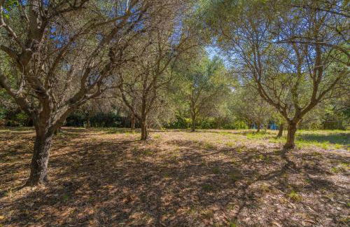 Villa il Ciliegio by Nicola Real Estate - Foto 33