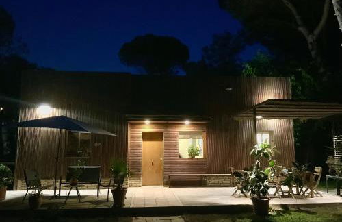 Pineda 38 - Photo 13