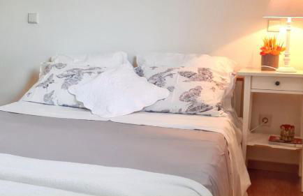 Charming House in Covelas with Pool and Mountain View - Foto 24