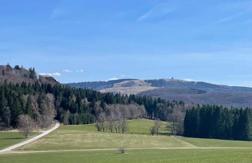 Ferienwohnung Menz - Alte Mühle - mit Milseburgblick und Gartenpool - Foto 4