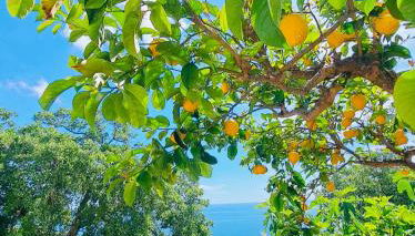 CASA AL MARE RIO b&n - Foto 2