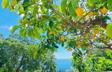 CASA AL MARE RIO b&n - Foto 2