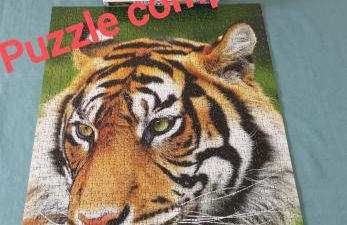 2 pièces cosy Saint-Lary- Vielle Aure - Foto 14