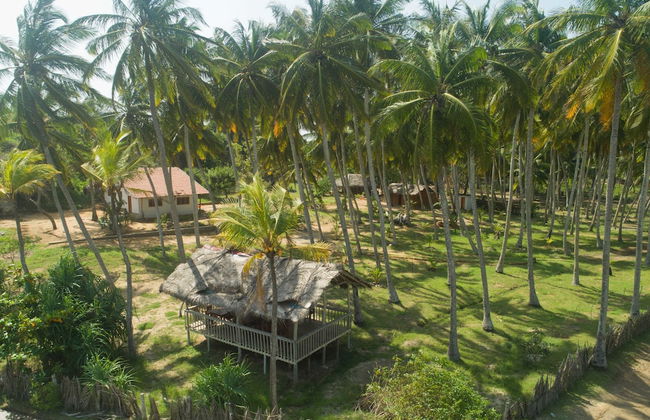 Redhill Yala - Photo 21