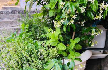 A casa da Anita - Foto 11