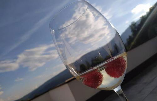 Apratmán Julie – Bavorská Ruda - Foto 46