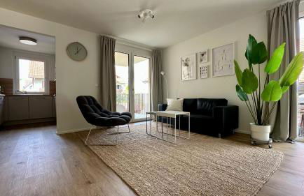 3-Zi-Neubauapartment möbliert - Foto 4