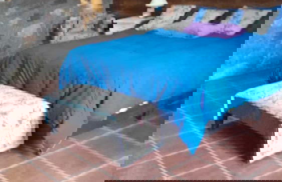 La Llama Negra - Foto 67