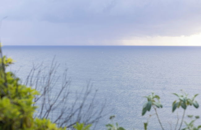 Reflections Nambucca Heads - Holiday Park - Foto 35