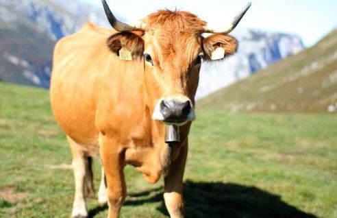 Casa Usborne - Foto 15