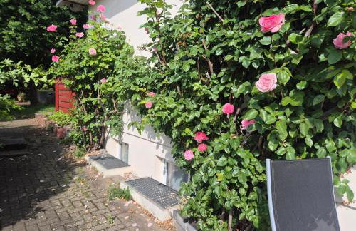 Nordlandgiebel - Foto 24
