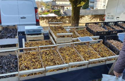 Ancient House in Village Centre - Foto 46