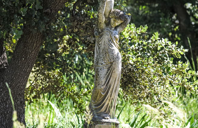 La Chênaie - Foto 49