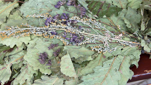Experiencia privada de sauna en los bosques de Vilna