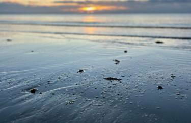 The Bolthole - Photo 11