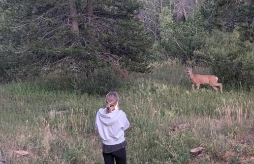 Modern Gambrel Cabin Near Ski Resorts - Photo 18