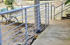 La Dépendance - Foto 2