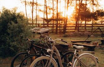 Kruszkanawierzbie - Foto 40