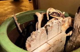 Hypate, traditional island cottage - Foto 12